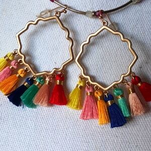 Colorful Tassel Hoop Earrings
